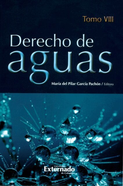 Henry Antonio Alterio Gonzalez, Maria del Pilar Garcia Pachon - Derecho de aguas., E-bok