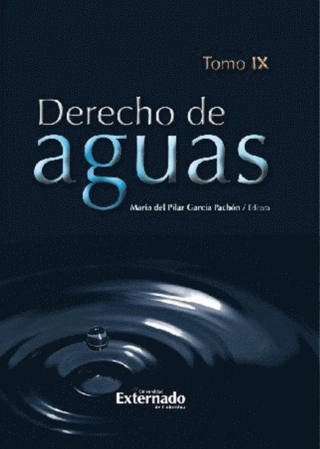 Alba R Vergara, Diana Carolina Valencia Tello, Noelia Torchia, Mariana Tejado Gallegos, Mauricio Pinto, Carlos Murillo Zamora, Liber Martin, Roberth Lesmes Orjuela, Roberto Enrique Lastra Mier, Nicolas Gonzalez Del Solar, Andres Gomez Rey, Fredy Francisco Genez Baez, Maria Del Pilar Garcia Pachon, Abel Fleitas Matto, Antonio Embid Irujo, Diego Diaz Martin, Eduardo Del Valle Mora, Alvaro Hernando Cardona Gonzalez, Marcela Andino, Gloria Lucia Alvarez Pinzon - Derecho de Aguas. Tomo IX, E-bok