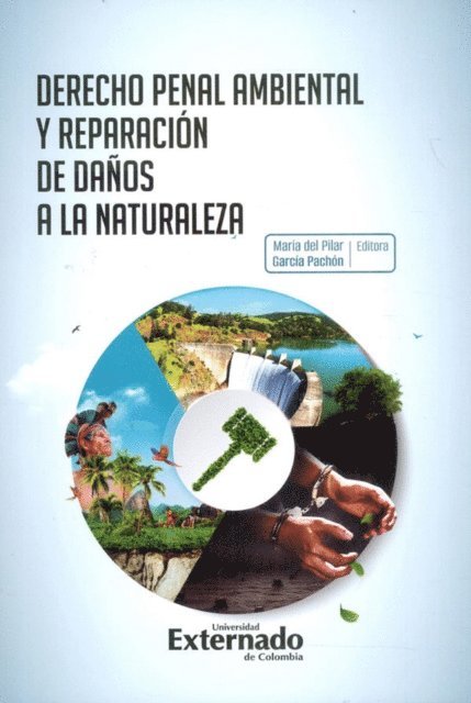Maria del Pilar Garcia Pachon - Derecho penal ambiental y reparación de daños a la naturaleza, E-bok