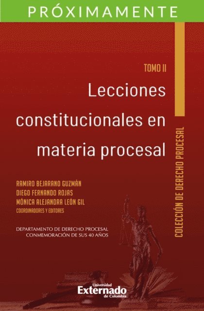 Monica Alejandra Leon Gil, Diego Gernando Rojas, Ramiro Bejarano Guzman - Lecciones constitucionales en materia procesal. Tomo II., E-bok