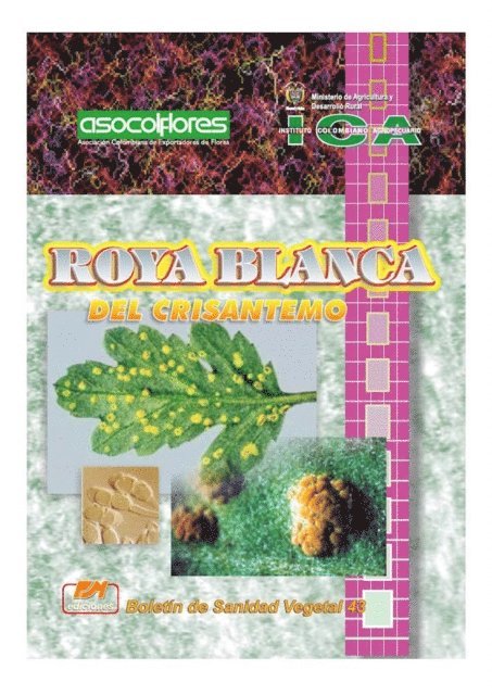 Jose Rojas, Jose Rojas - Roya blanca del crisantemo, E-bok