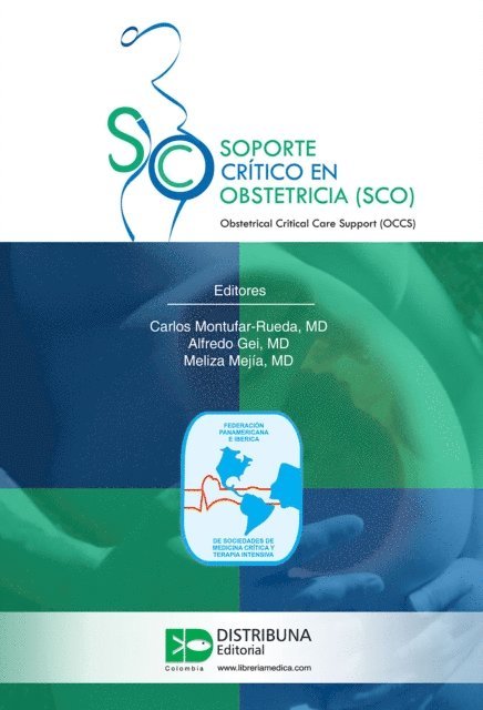 Carlos Montufar Rueda - Soporte crítico en obstetricia (SCO), E-bok