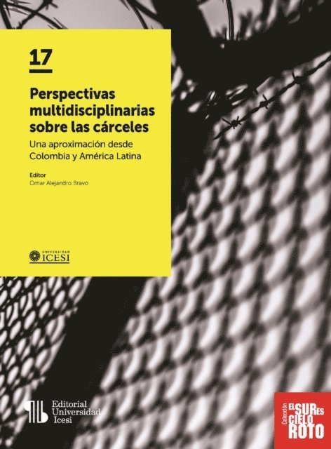 Omar Alejandro Bravo - Perspectivas multidisciplinarias sobre las cárceles, E-bok