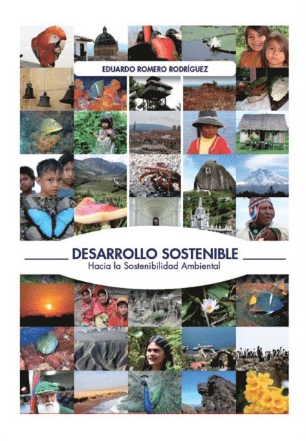 Eduardo Romero, Eduardo Romero - Desarrollo sostenible: Hacia la sostenibilidad ambiental, E-bok