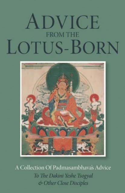 Padmasambhava, Marcia Binder Schmidt - Advice from the Lotus-Born, E-bok
