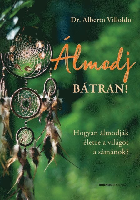 Dr. Alberto Villoldo - Álmodj bátran!, E-bok