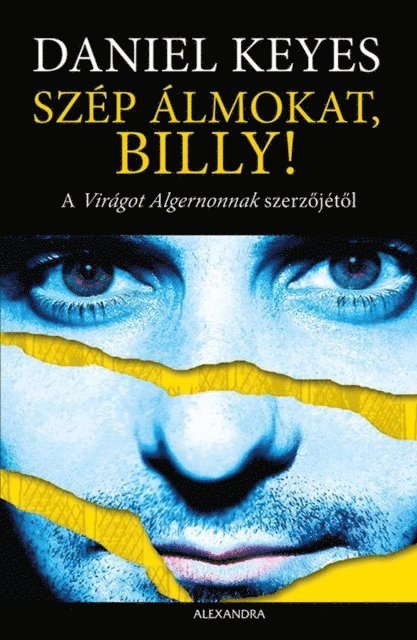 Daniel Keyes - Szép álmokat, Billy!, E-bok