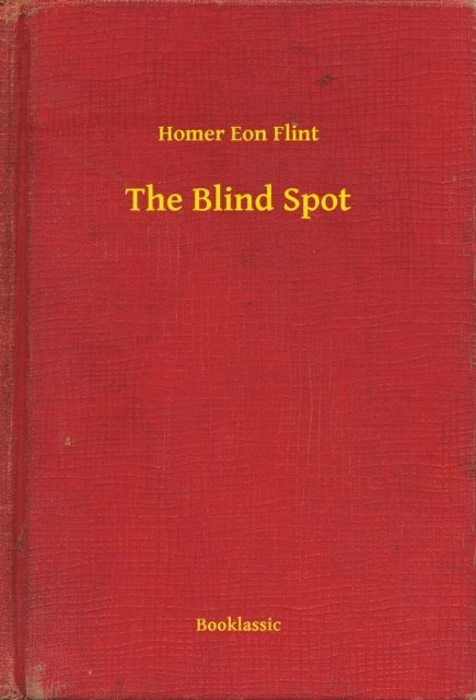 Homer Eon Flint - Blind Spot, E-bok