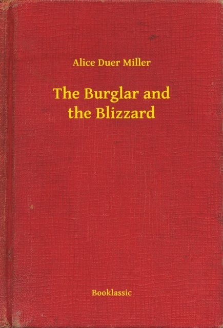 Alice Duer Miller - Burglar and the Blizzard, E-bok