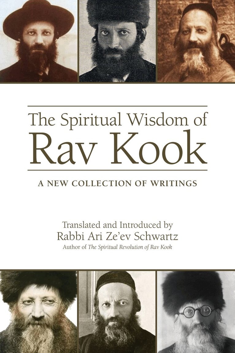 Rabbi Ari Ze'ev Schwartz - Spiritual Wisdom of Rav Kook, Häftad