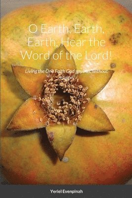 Yeriel Evenpinah - O Earth, Earth, Earth, Hear the Word of the Lord!, Häftad