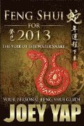 Feng Shui for 2013