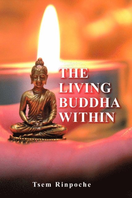 Tsem Rinpoche - Living Buddha Within, E-bok