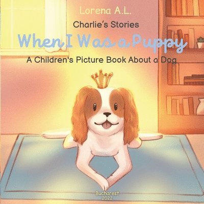 Lorena A L - Charlie's Stories, Häftad