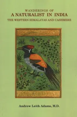 Andrew Leith Adams - Wanderings of a Naturalist in India, the Western Himalayas and Cashmere, Häftad. Tillgänglighet: Lägg i varukorg