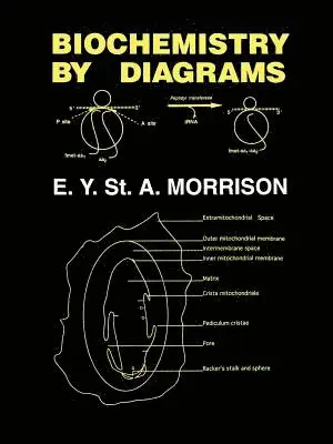 Errol Y. St. A. Morrison - Biochemistry by Diagrams, Häftad. Tillgänglighet: Lägg i varukorg
