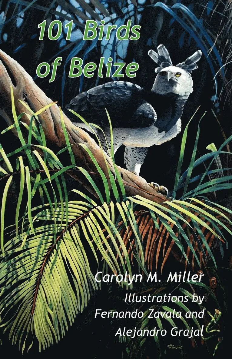 Carolyn M Miller - 101 Birds of Belize, Häftad. Tillgänglighet: Lägg i varukorg
