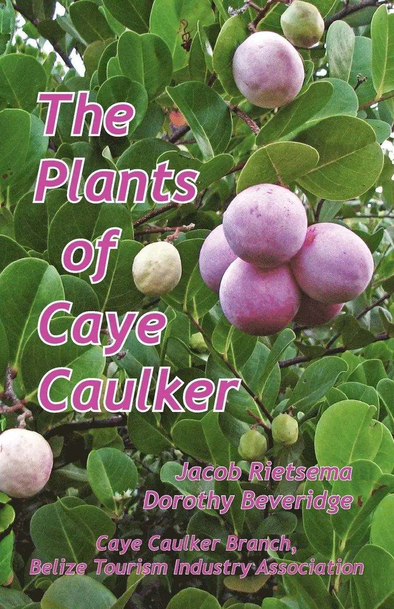 Jacob Rietsema, Dorothy Beveridge - Plants of Caye Caulker, Häftad. Tillgänglighet: Lägg i varukorg
