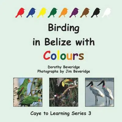 Dorothy Beveridge - Birding in Belize with Colours, Häftad. Tillgänglighet: Lägg i varukorg