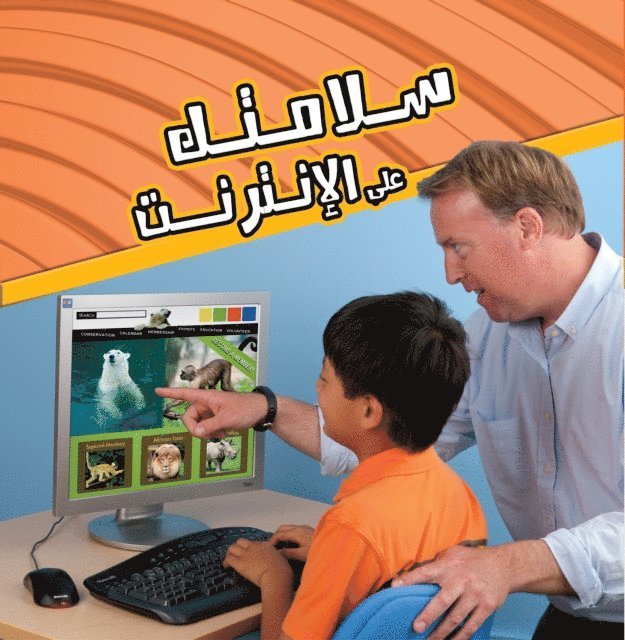 Sally Lee - Your safety on the Internet, E-bok