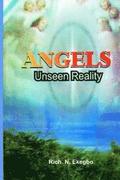 Angels: Unseen Reality