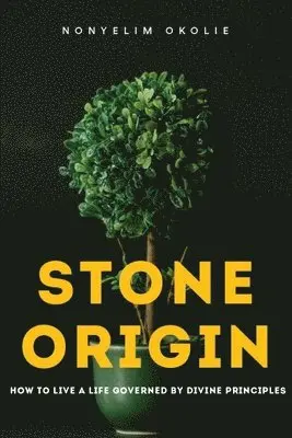 Nonyelim Okolie - Stone Origin: How to live a life governed by divine principles, Häftad. Tillgänglighet: Lägg i varukorg