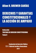 Derechos Y Garantias Constitucionales Y La Accion de Amparo. Tomo X. Coleccion Tratado de Derecho Constitucional