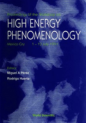 M A PEREZ R HUERTA, R Huerta, M A Pérez - HIGH ENERGY PHENOMENOLOGY - PROCEEDINGS OF THE WORKSHOP, Inbunden