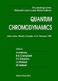 Quantum Chromodynamics - Proceedings Of The Thirteenth Lake Louise Winter Institute