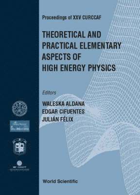 ALDANA WALESKA, Waleska Aldana, Edgar Cifuentes, Julian Felix - Theoretical And Practical Elementary Aspects Of High Energy Physics, Procs Of Xxv Curccaf, Inbunden
