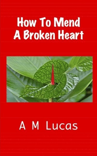 A M Lucas - How To Mend A Broken Heart, E-bok