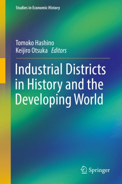 Keijiro Otsuka, Tomoko Hashino - Industrial Districts in History and the Developing World, E-bok