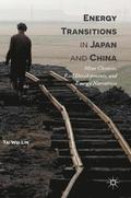 Energy Transitions in Japan and China