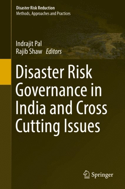 Rajib Shaw, Indrajit Pal - Disaster Risk Governance in India and Cross Cutting Issues, E-bok