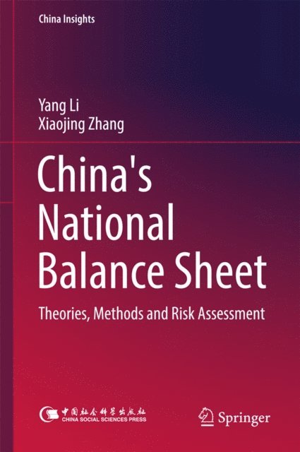 Xiaojing Zhang, Yang Li - China's National Balance Sheet, E-bok