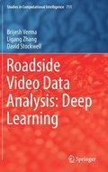 Roadside Video Data Analysis