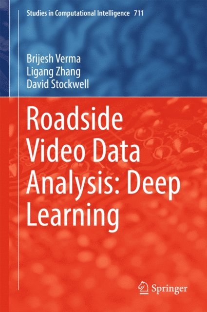 David Stockwell, Ligang Zhang, Brijesh Verma - Roadside Video Data Analysis, E-bok