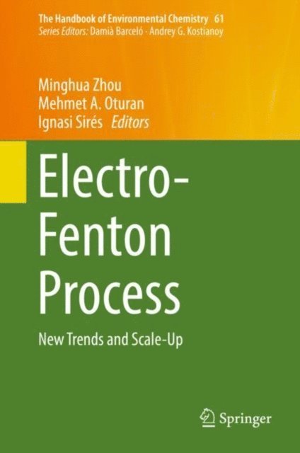 Ignasi Sires, Mehmet A. Oturan, Minghua Zhou - Electro-Fenton Process, E-bok