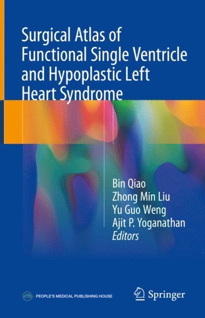 Ajit P. Yoganathan, Yu Guo Weng, Zhong Min Liu, Bin Qiao - Surgical Atlas of Functional Single Ventricle and Hypoplastic Left Heart Syndrome, E-bok