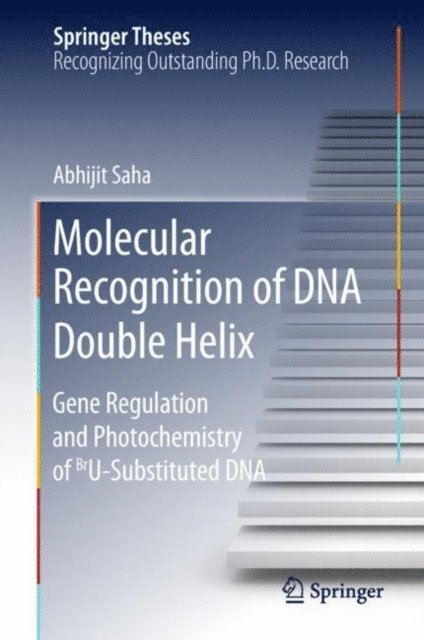 Abhijit Saha - Molecular Recognition of DNA Double Helix, E-bok