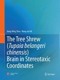 The Tree Shrew (Tupaia belangeri chinensis) Brain in Stereotaxic Coordinates