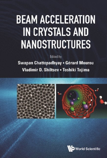 Tajima Toshiki Tajima, Shiltsev Vladimir D Shiltsev, Mourou Gerard Mourou, Chattopadhyay Swapan Chattopadhyay - Beam Acceleration In Crystals And Nanostructures - Proceedings Of The Workshop, E-bok