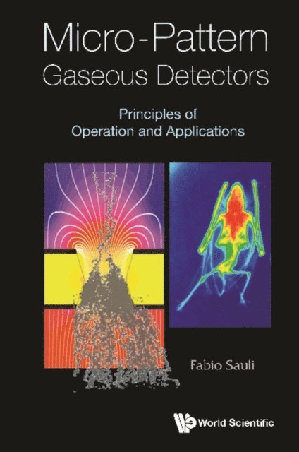 Sauli Fabio Sauli - Micro-pattern Gaseous Detectors: Principles Of Operation And Applications, E-bok