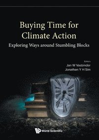 Buying Time For Climate Action: Exploring Ways Around Stumbling Blocks