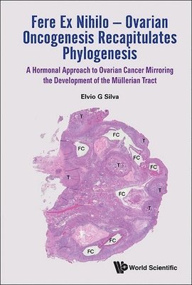 Elvio G Silva - Fere Ex Nihilo - Ovarian Oncogenesis Recapitulates Phylogenesis: A Hormonal Approach To Ovarian Cancer Mirroring The Development Of The Mullerian Tract, Inbunden