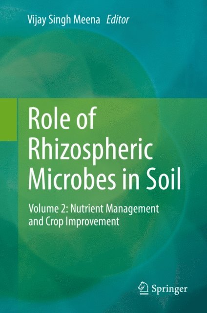Vijay Singh Meena - Role of Rhizospheric Microbes in Soil, E-bok