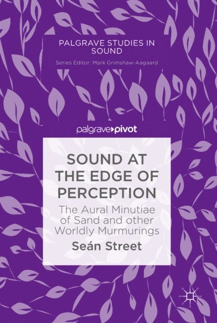 Sean Street - Sound at the Edge of Perception, E-bok