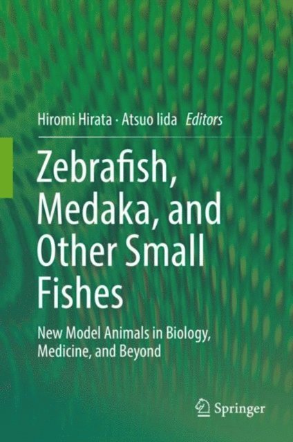 Atsuo Iida, Hiromi Hirata - Zebrafish, Medaka, and Other Small Fishes, E-bok