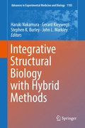 Integrative Structural Biology with Hybrid Methods