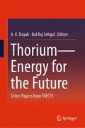 ThoriumEnergy for the Future